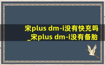 宋plus dm-i没有快充吗_宋plus dm-i没有备胎